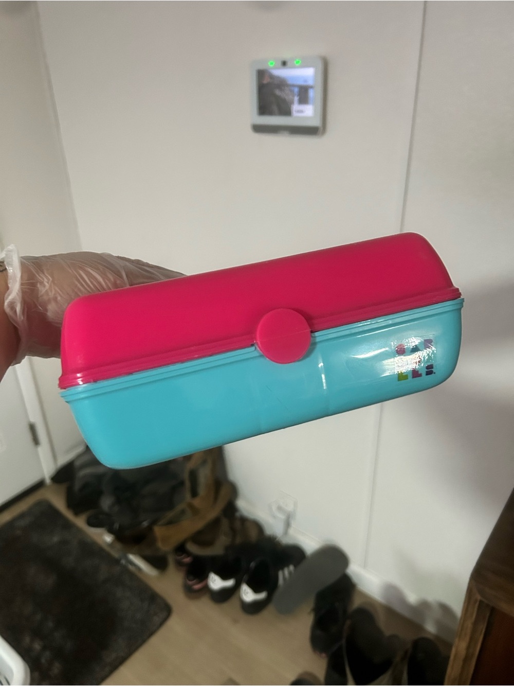 Mini caboodle pink and light blue